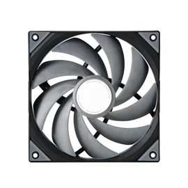 294031.jpg