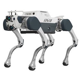 300679.jpg